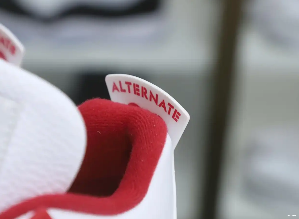 AIR ALTERNATE RETRO 89 JORDAN4 0529